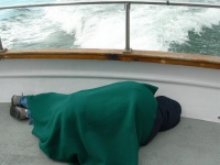 Not quite dead yet.jpg